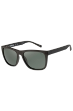 Cat Sunglasses