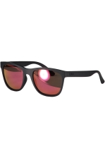 Bark Sunglasses