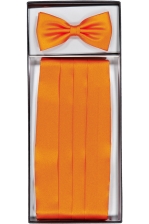 Ceremony Cummerbund