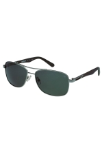 Cat Sunglasses