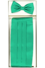 Ceremony Cummerbund