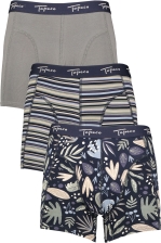 Men's Regular Boxer 3-p