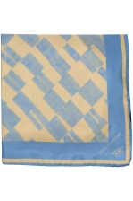 Tapinia S51973 A22