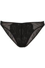Lace Mesh Bikini Briefs