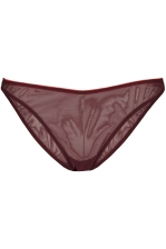 Mesh Bikini Briefs
