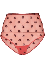 Mesh Highwaist Briefs