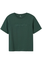 NKMLAURENT SS NREG TOP