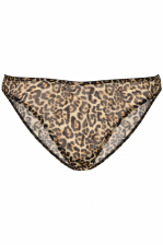 Mesh Bikini Briefs