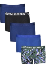 Core Boxer 5P