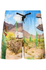 Tino Boardshorts