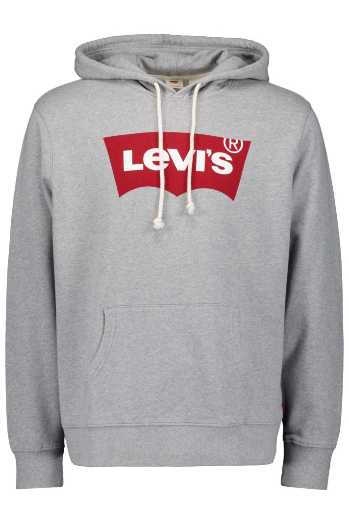 Standard Graphic Hoodie