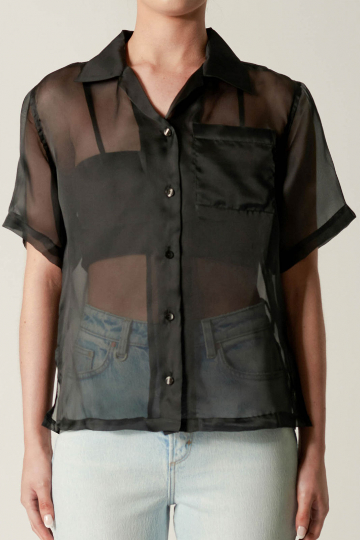 Organza Shirt