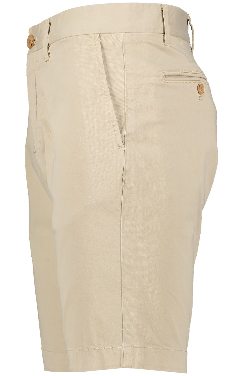 Regular Chino Shorts /