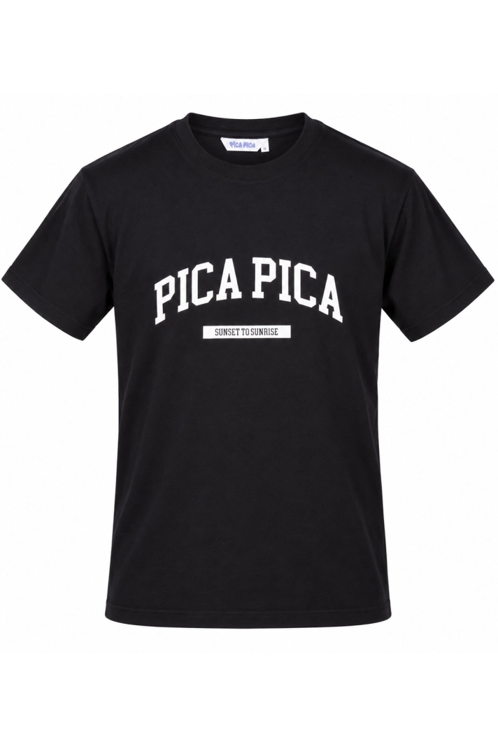 Pica Pica College