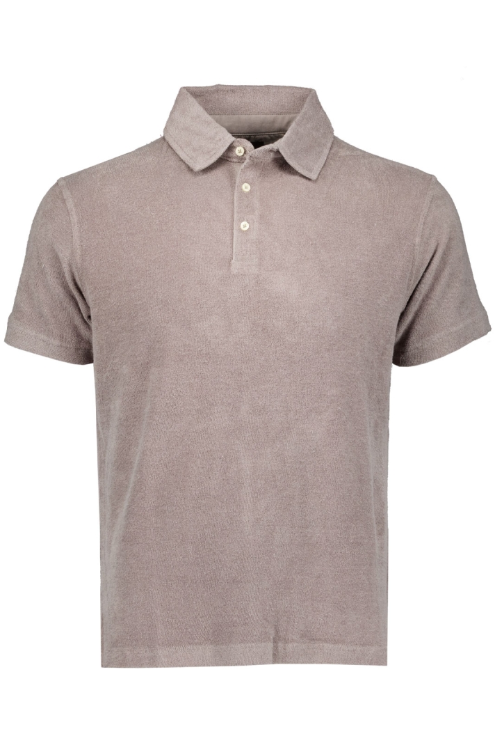 Terry Polo