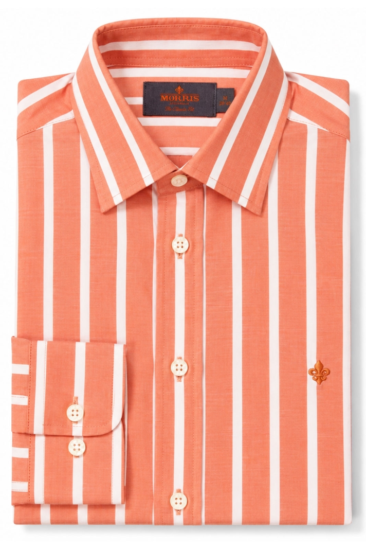 Summer Stripe Shirt - Classic Fit