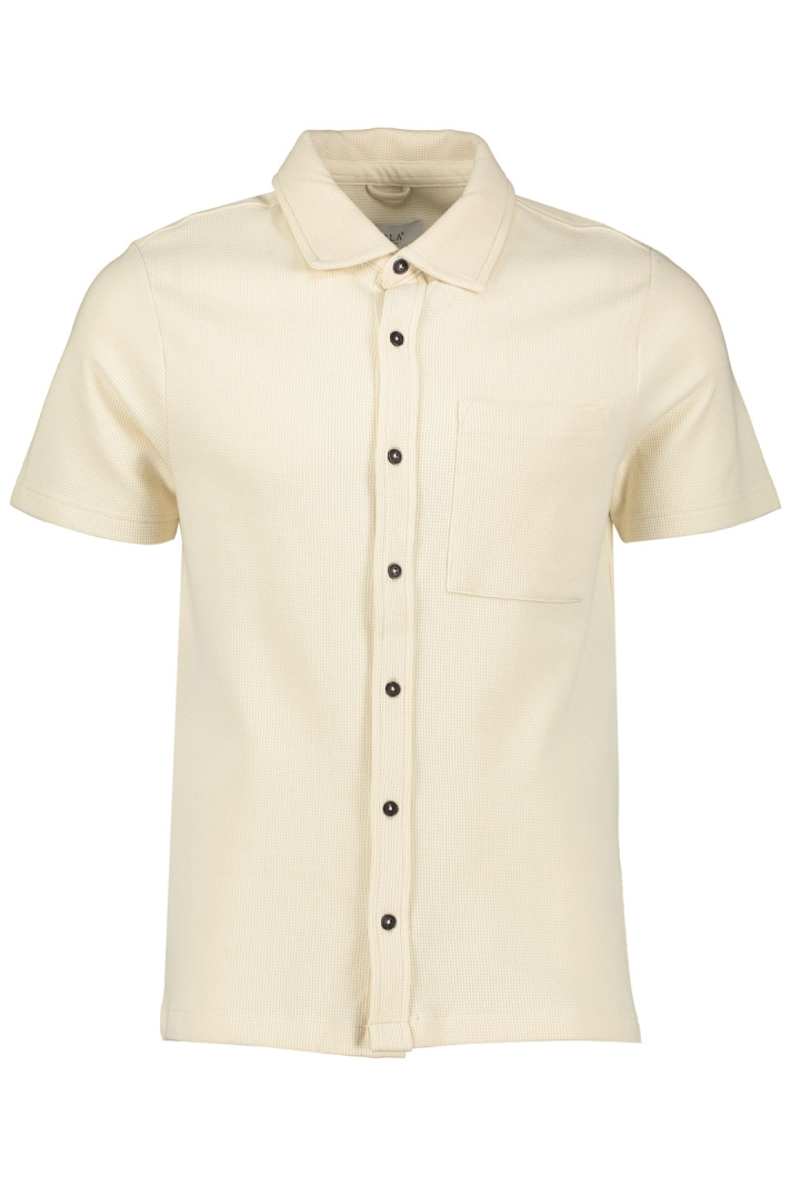 Shirt 6001 Erla