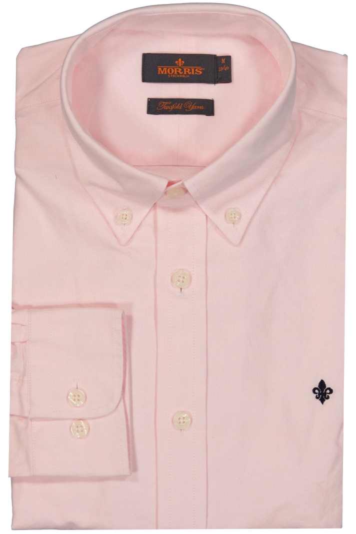 Oxford Button Down