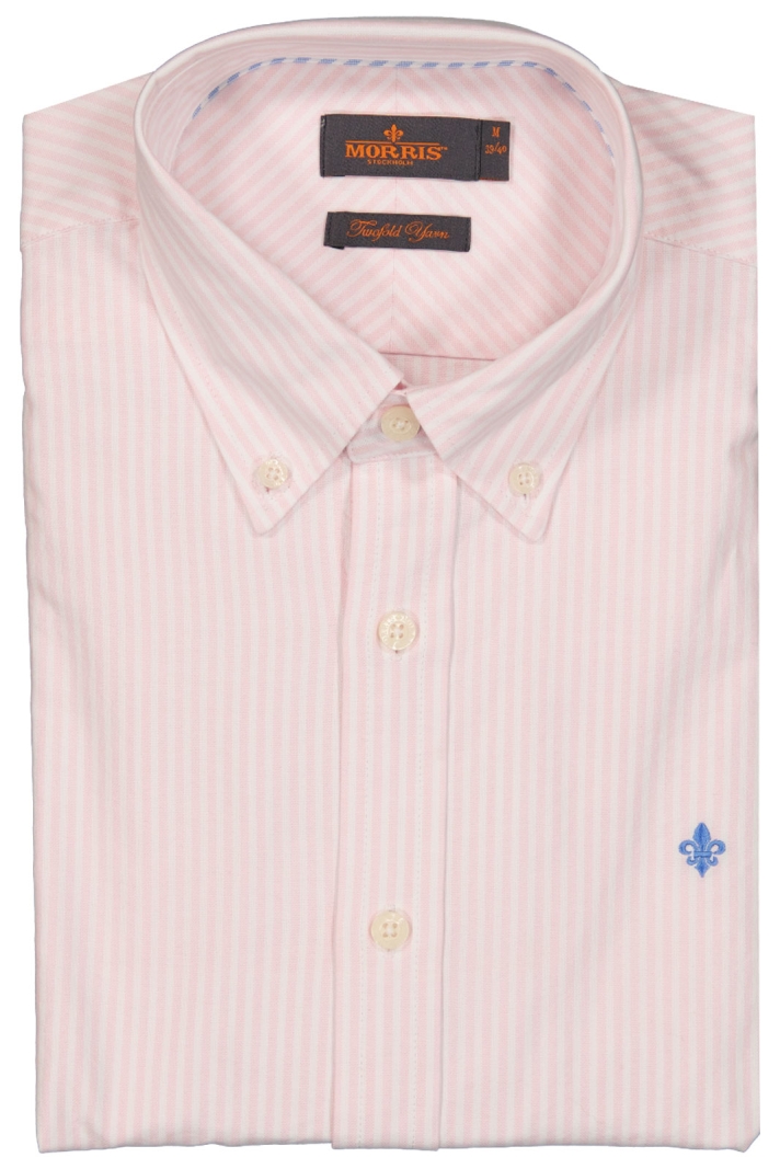 Oxford Striped Button Down