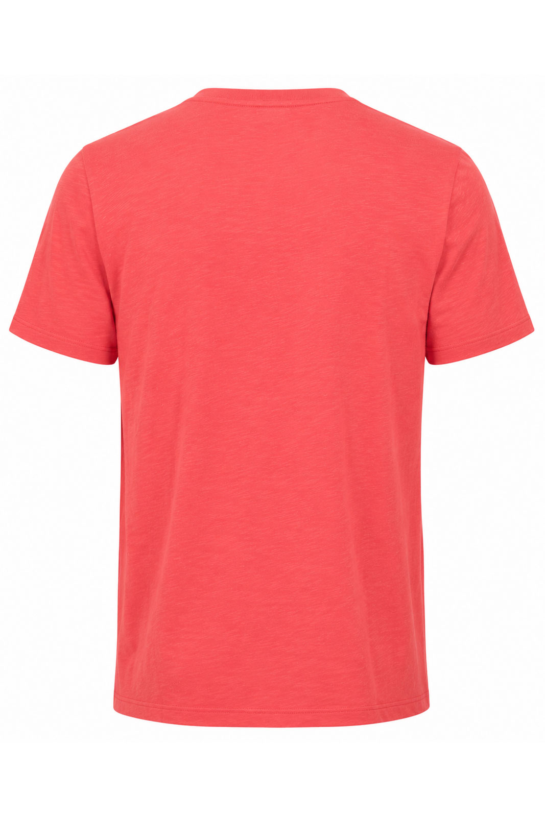 Lily Tee