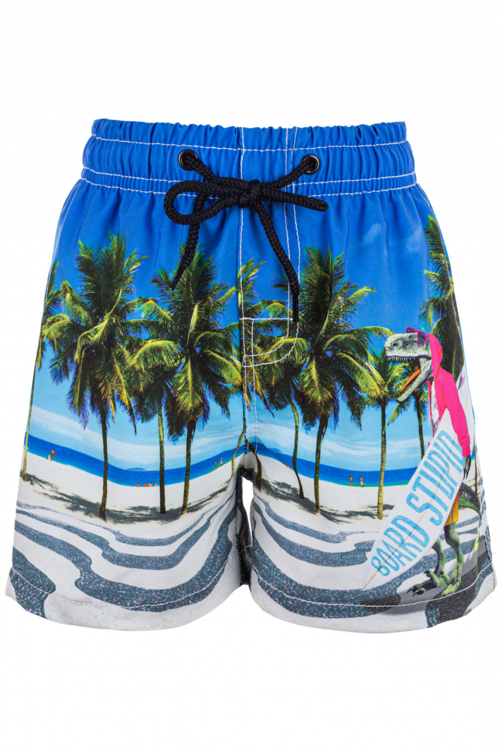 Dino Boardshorts