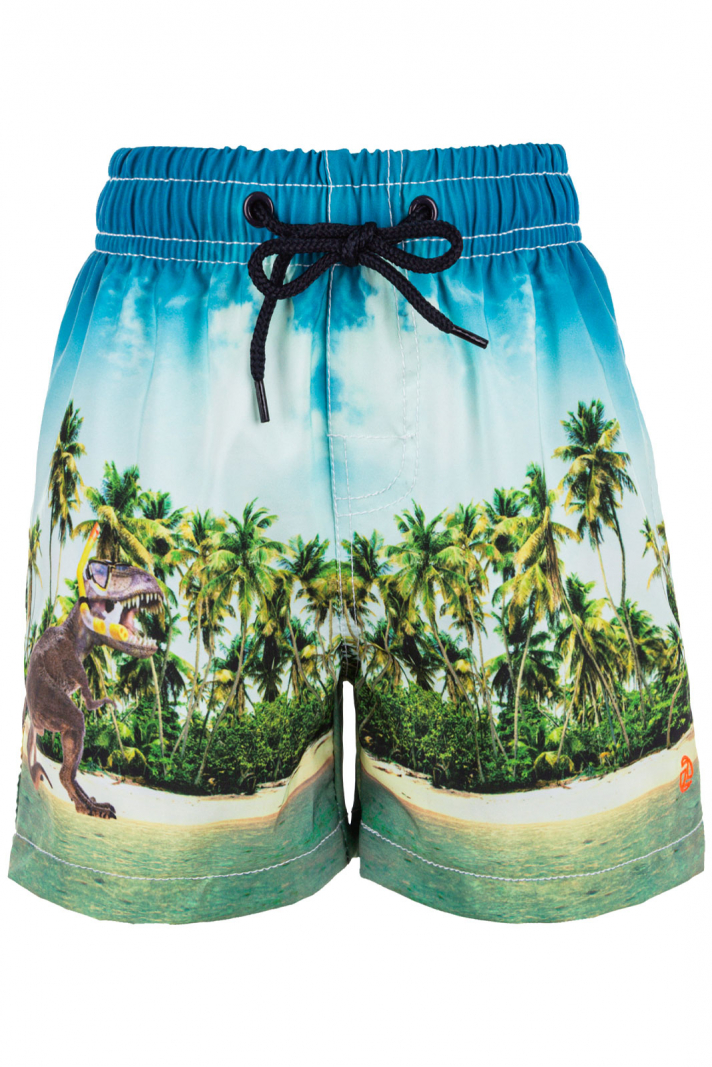 Dino Boardshorts