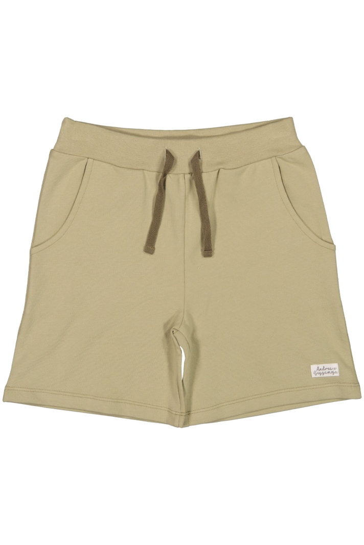 College Shorts