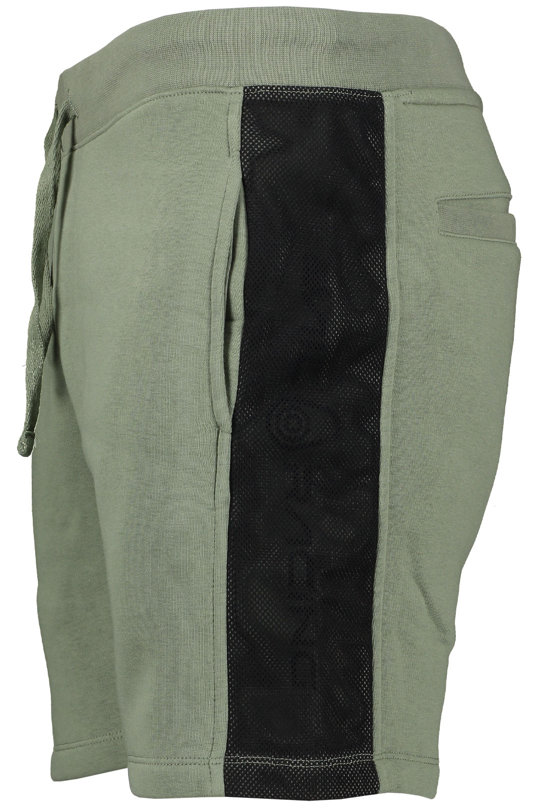 Coast Shorts 2211210