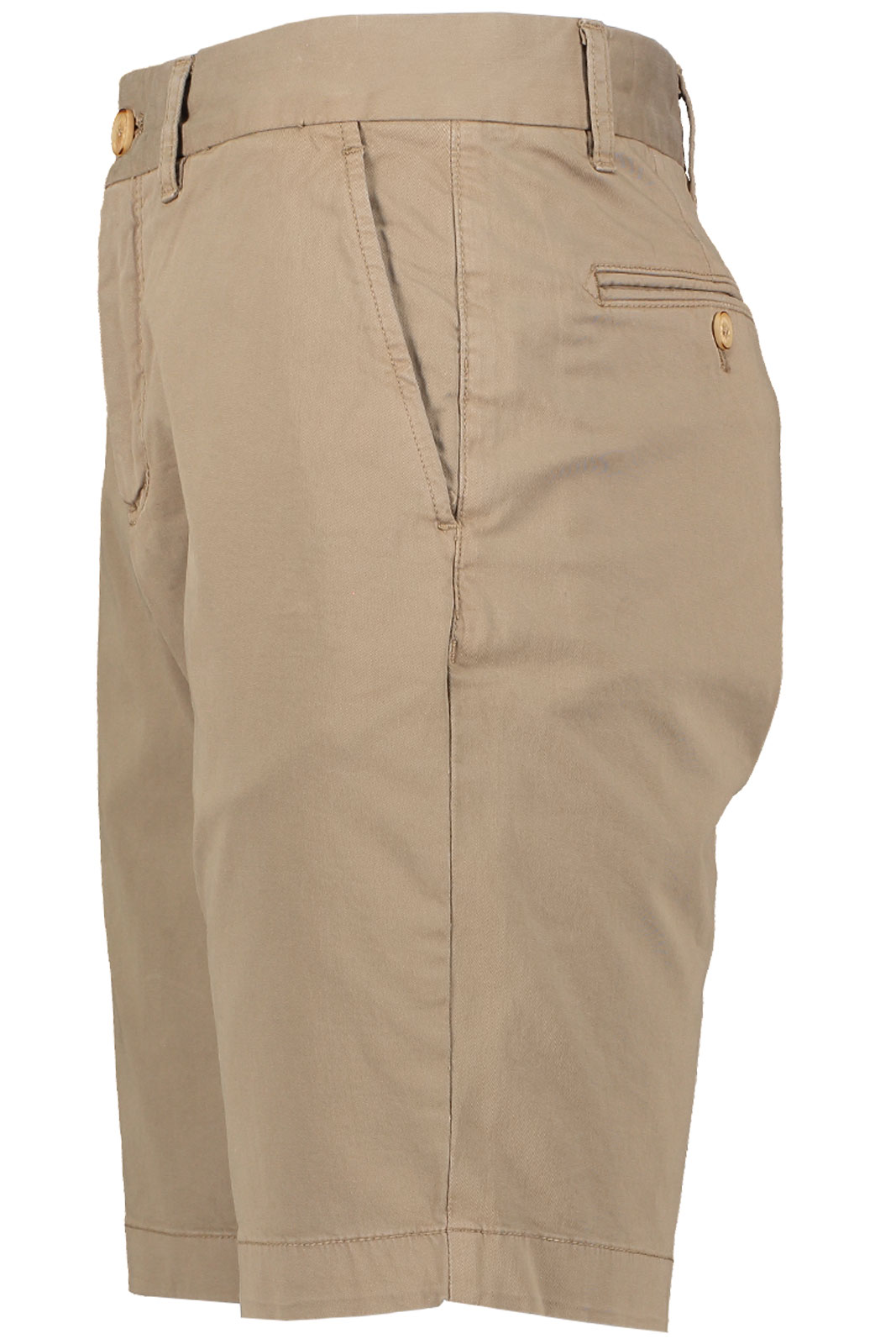 Regular Chino Shorts /