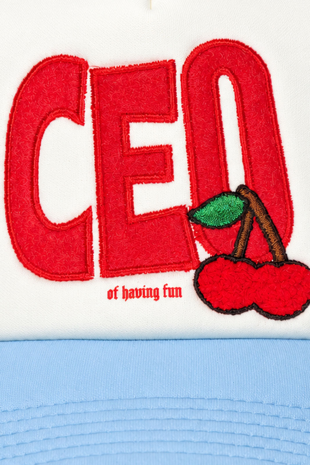 Ceo Of Fun