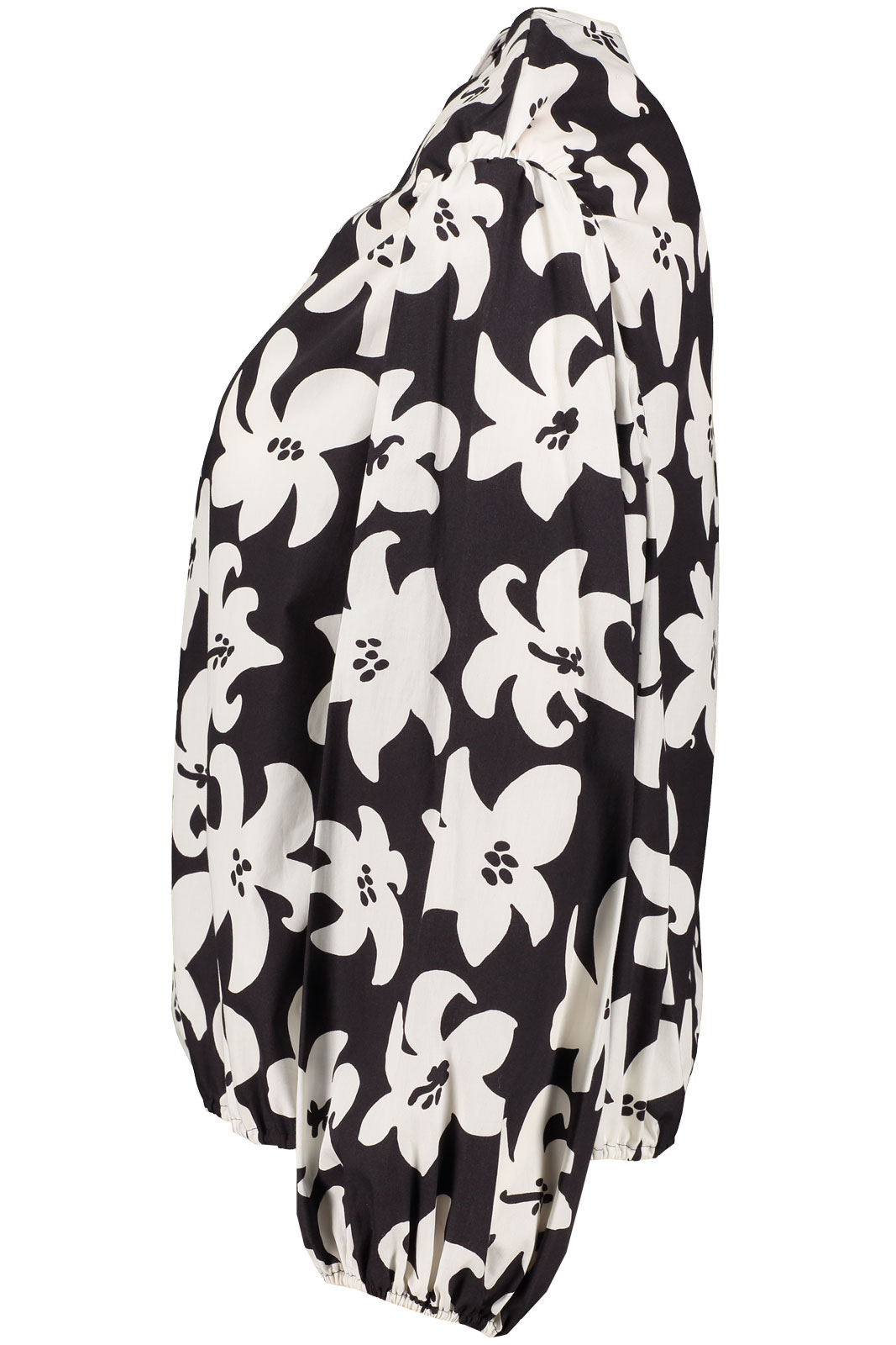 Gillaug Villinarsissi