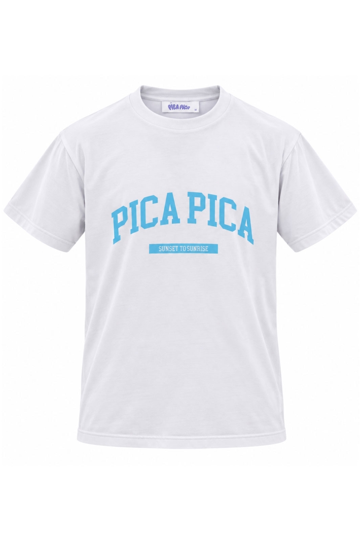Pica Pica College
