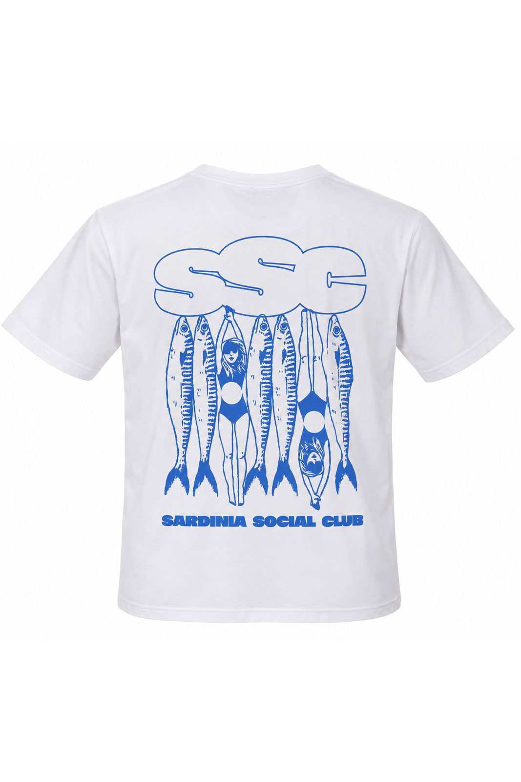Ssc Swimmers