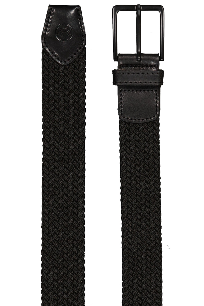 TAUBE Belt