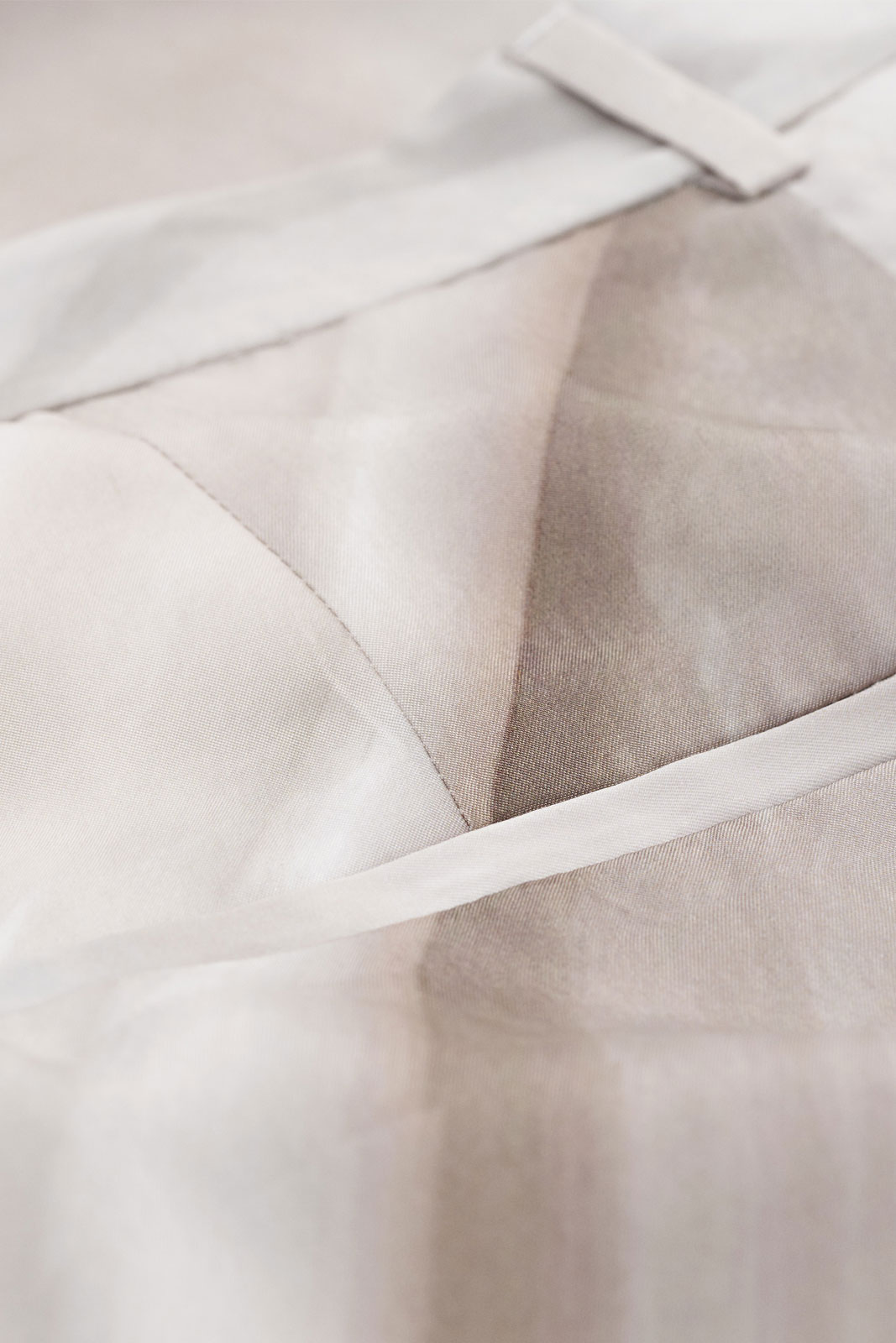 Dillenia P S69991 A41