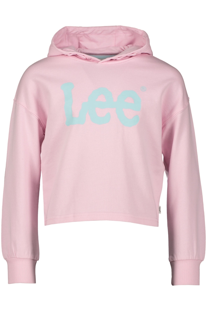 Wobbly Graphic Oth Hoodie Lb