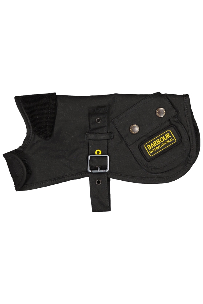 International Dog Co