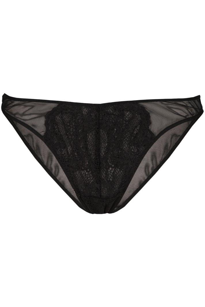 Lace Mesh Bikini Briefs