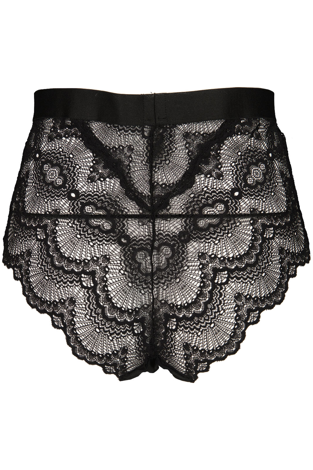 Lace Highwaist Briefs