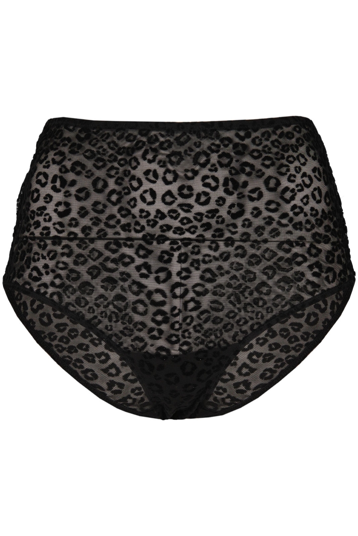 Mesh Highwaist Briefs