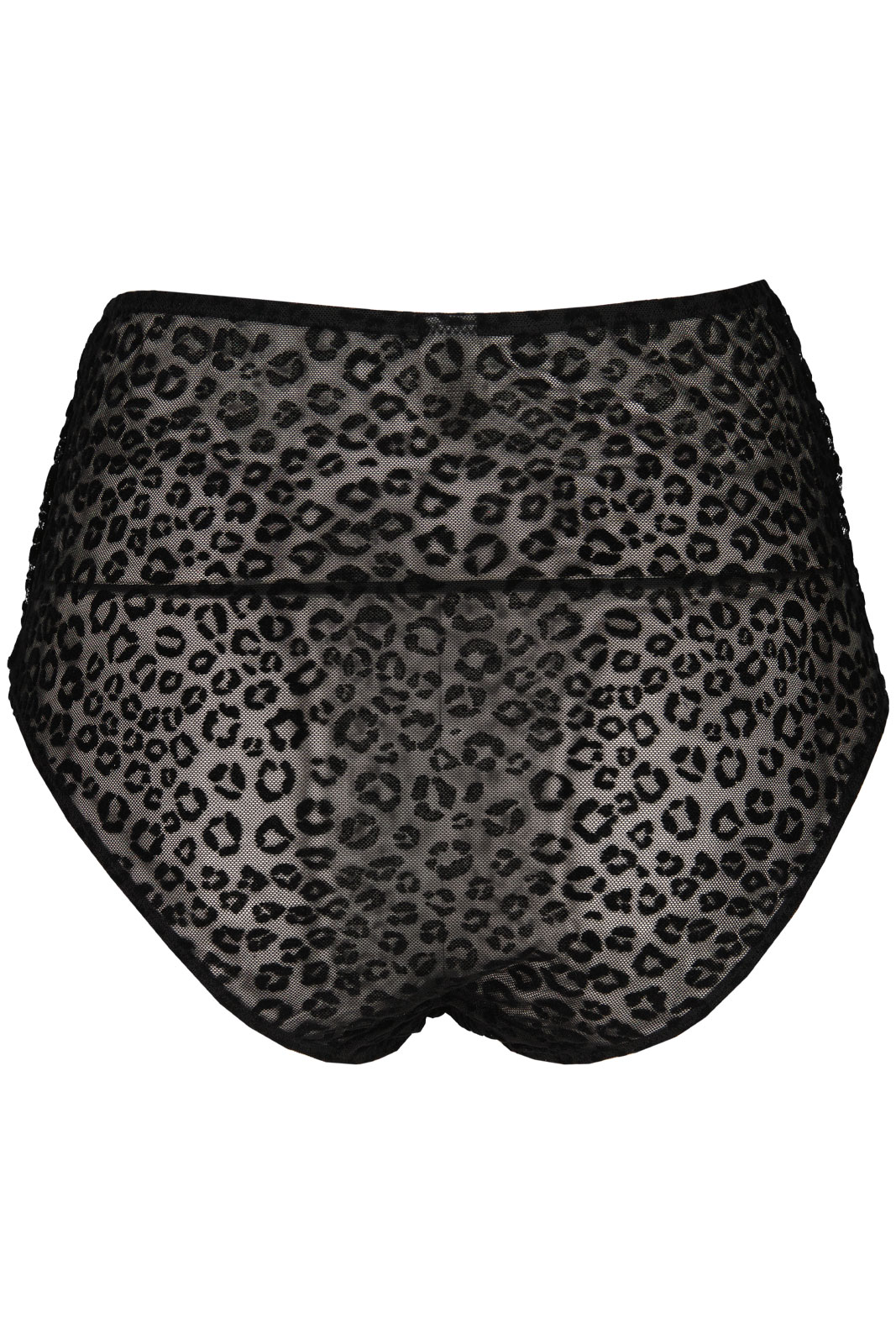 Mesh Highwaist Briefs