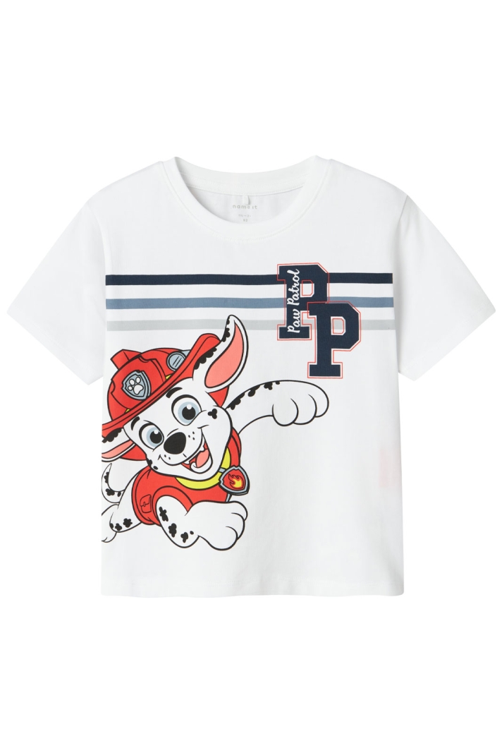 NMMMARK PAWPATROL NREG SS TOP BOX CPLG