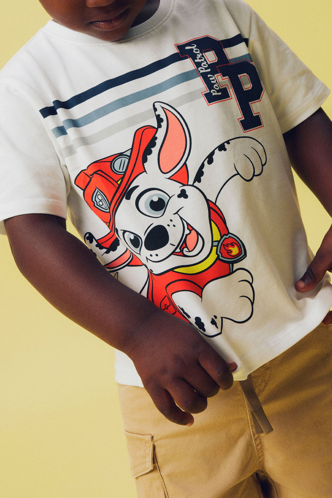 NMMMARK PAWPATROL NREG SS TOP BOX CPLG