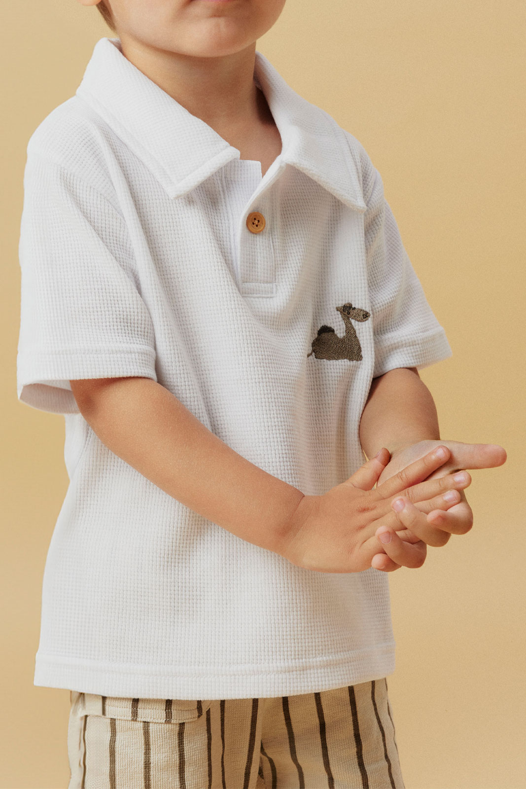 NMMJANUS NREG SS POLO BOX