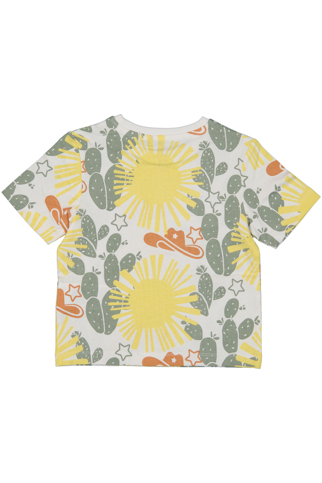 Nmmhanno Nreg Ss Top