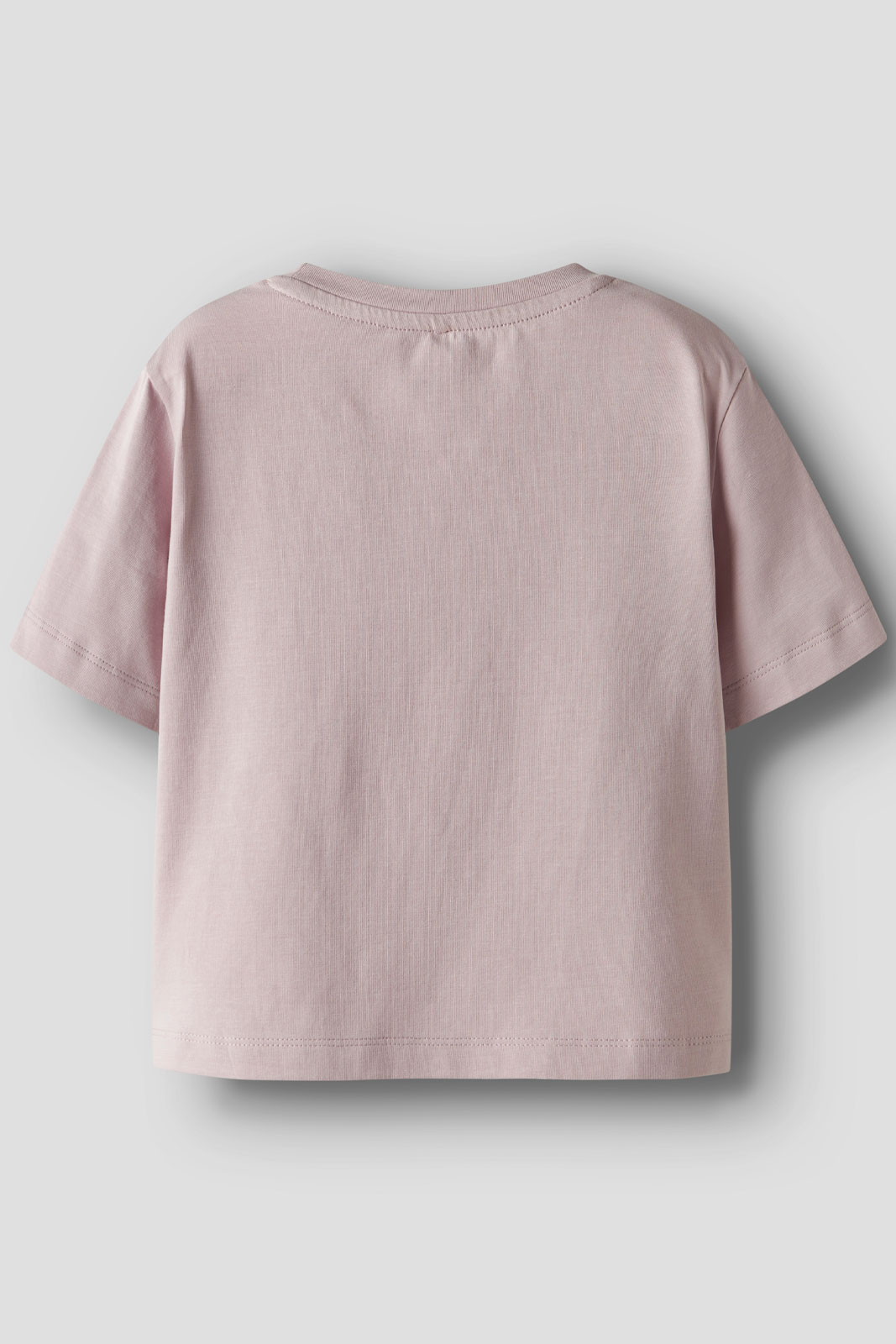 NMFLEOANJA SS NREG TOP