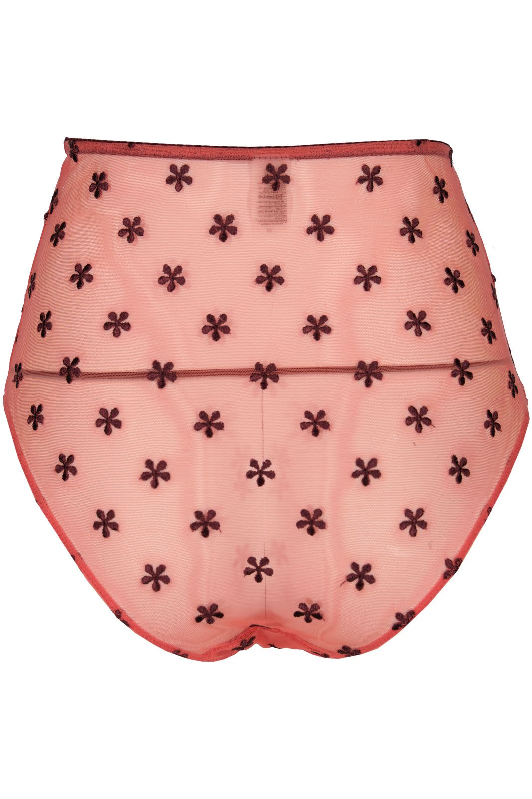 Mesh Highwaist Briefs