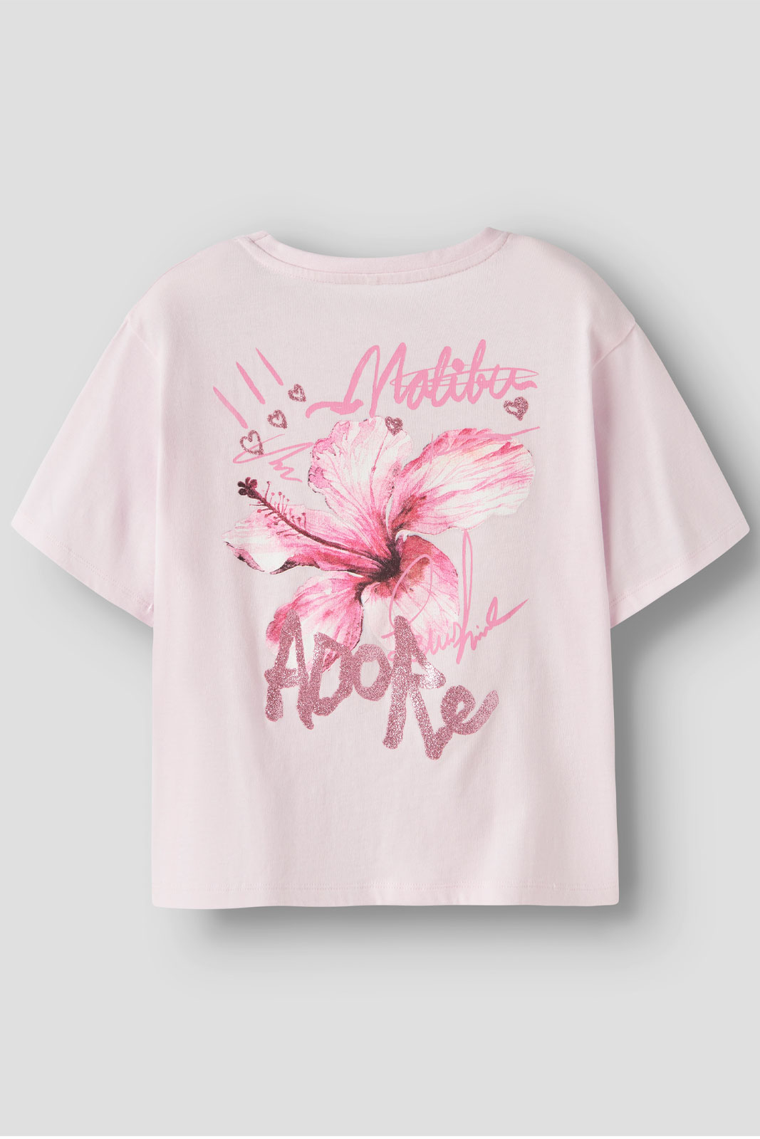 NKFHAO SS NREG TOP BOX