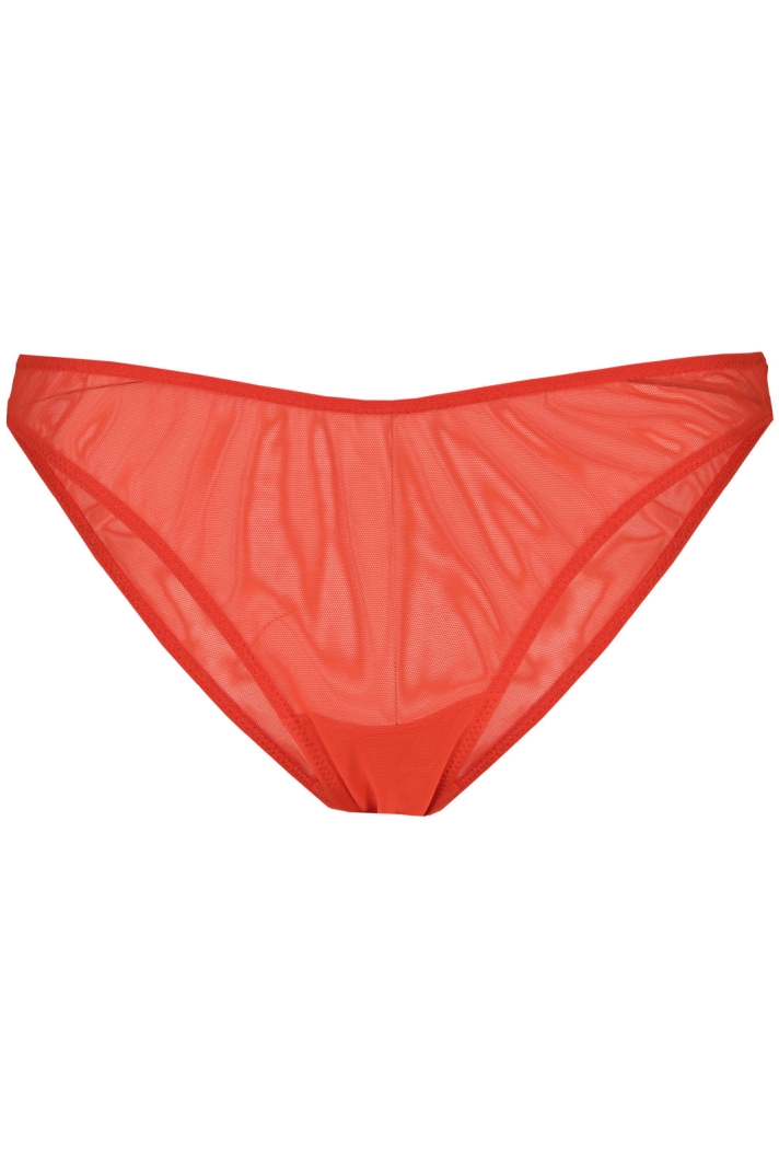 Mesh Bikini Briefs