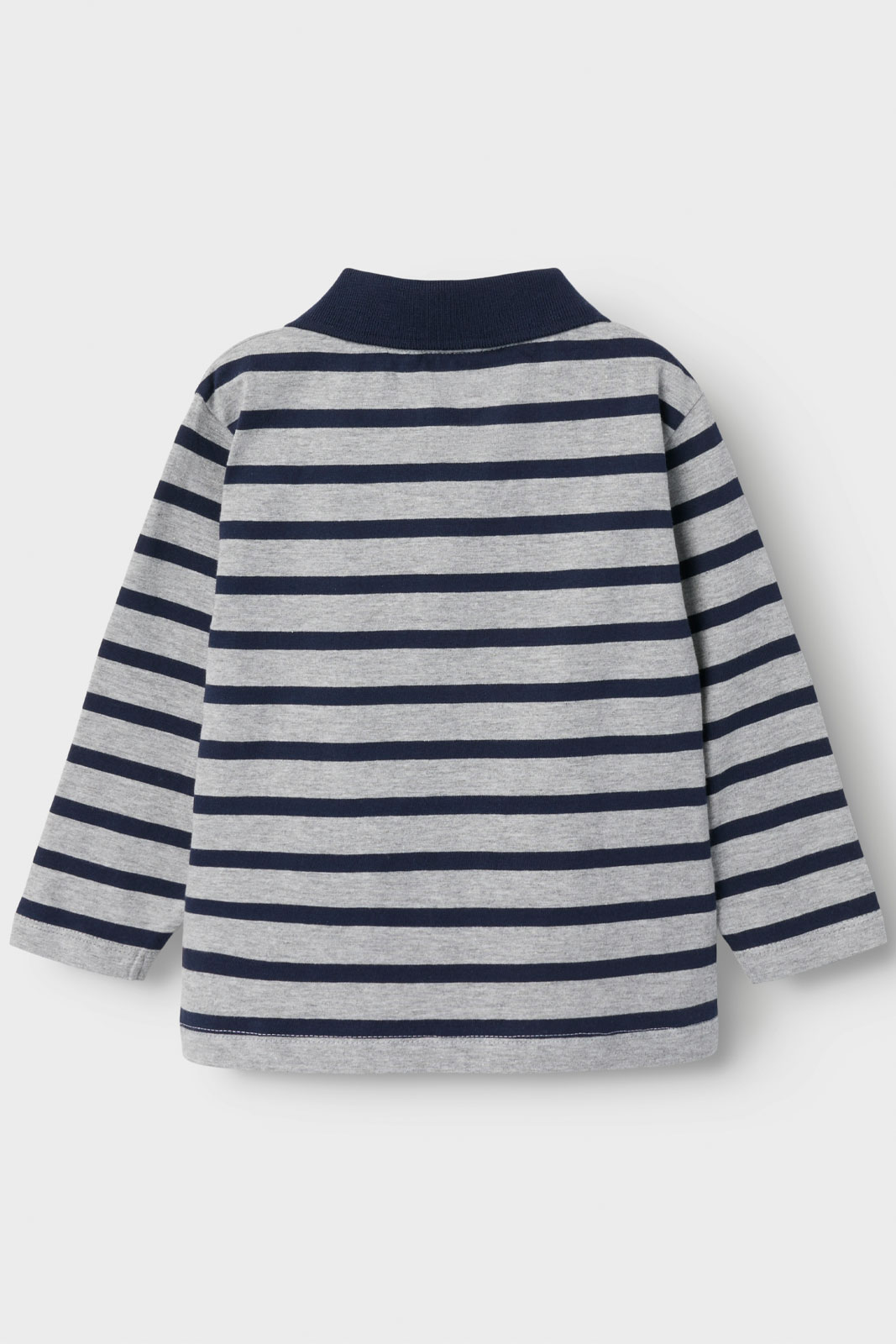 NMMOTIS LS NREG POLO